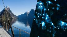 Milford Sound & Glowworm Caves Combo